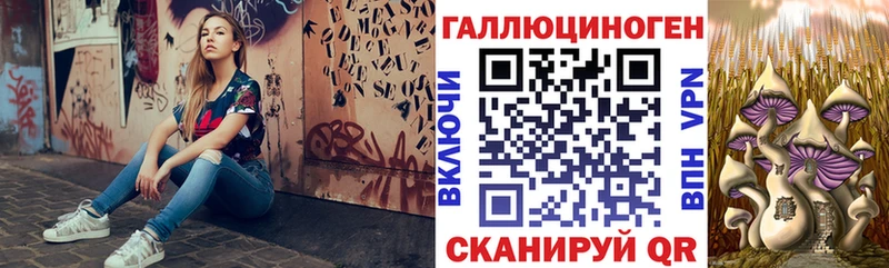 Купить закладки  Чадан  Псилоцибиновые грибы Cubensis 